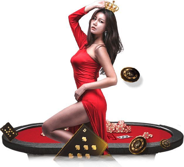 星空平台V3.12.1安卓版 3